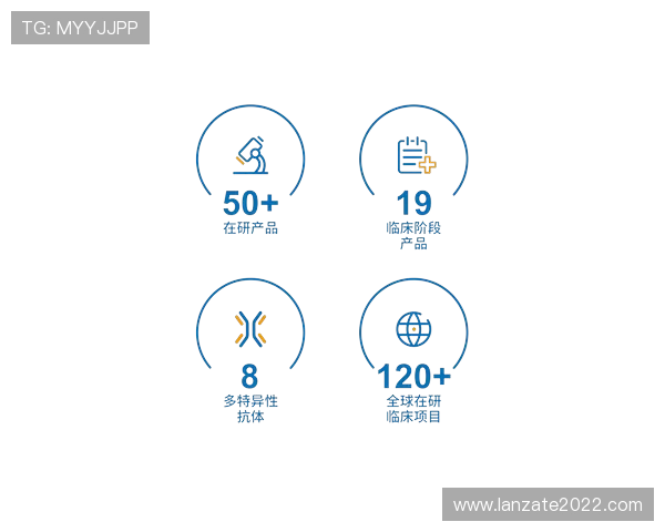 z6尊龙官方网站官网入口官方入口访问指南，保障用户账号安全与顺畅登录
